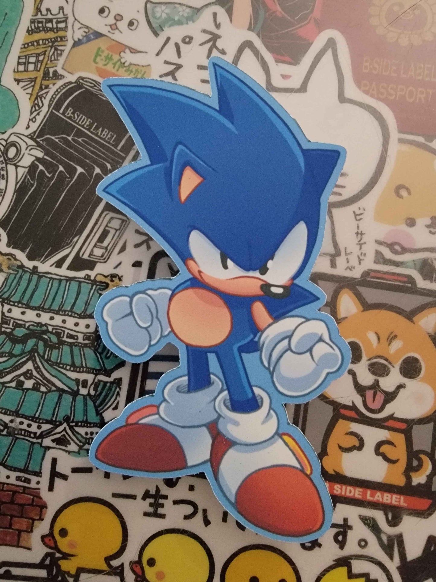 Sonic (Sonic R)